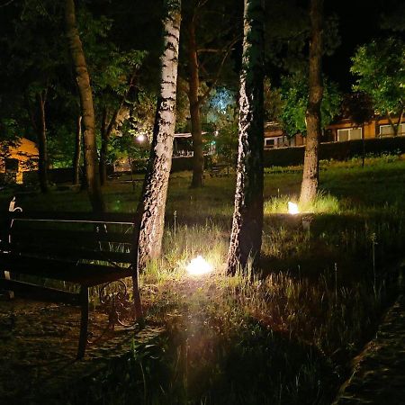 Воллен Zhvanets Exterior photo