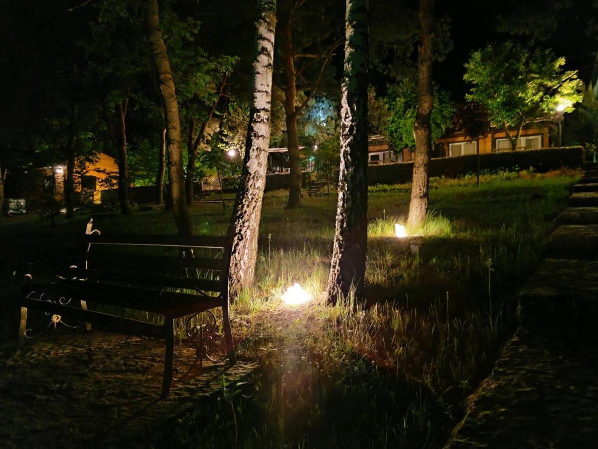 Воллен Zhvanets Exterior photo